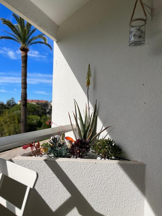 Appartement Parc Montfleury *